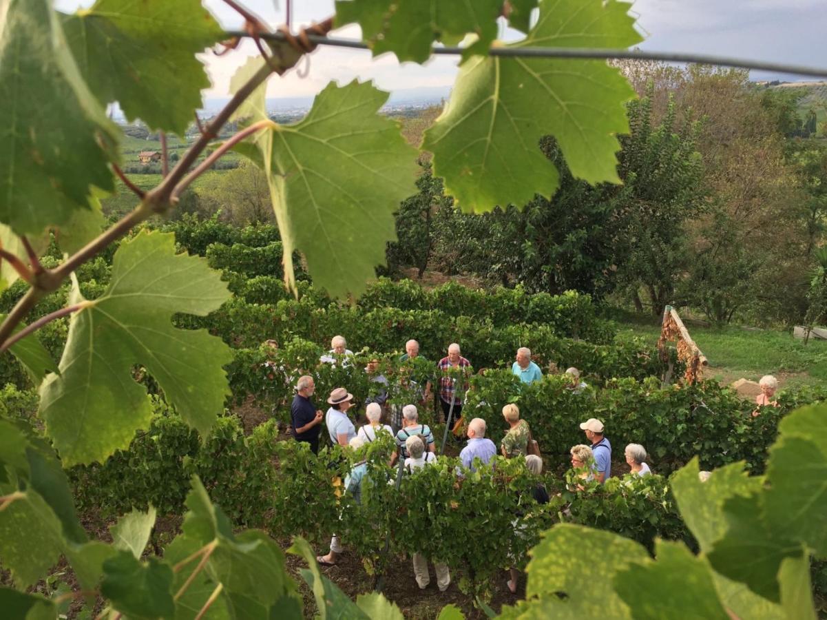 Merumalia Wine Resort Frascati Εξωτερικό φωτογραφία