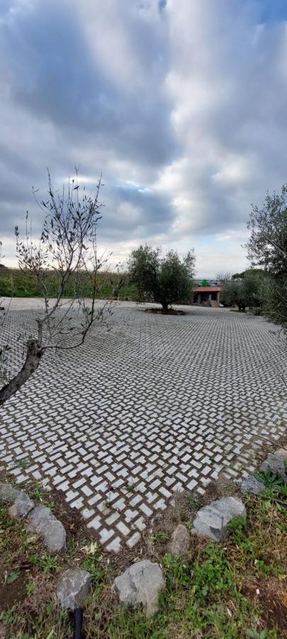 Merumalia Wine Resort Frascati Εξωτερικό φωτογραφία
