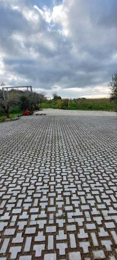 Merumalia Wine Resort Frascati Εξωτερικό φωτογραφία