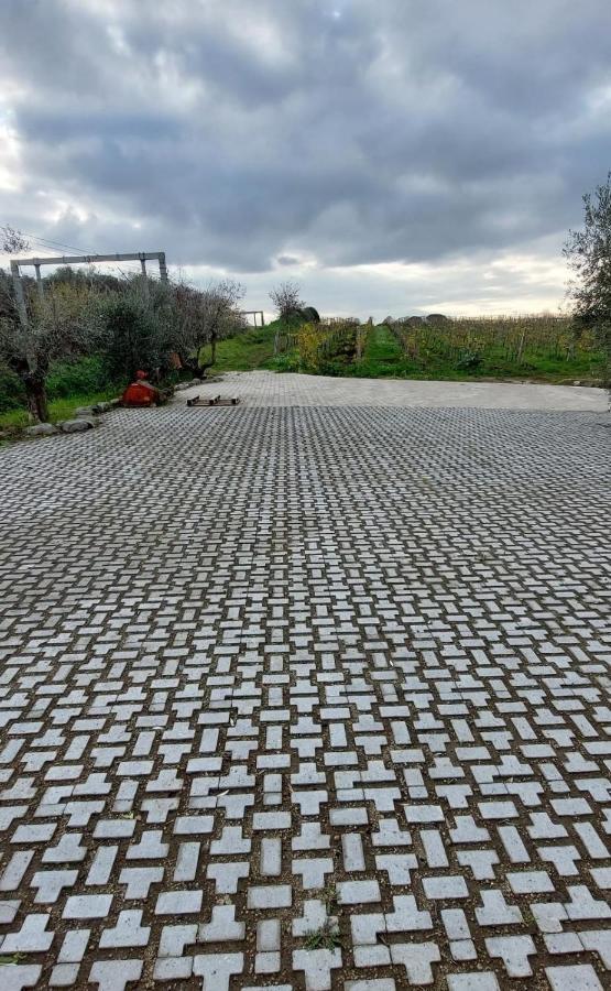 Merumalia Wine Resort Frascati Εξωτερικό φωτογραφία
