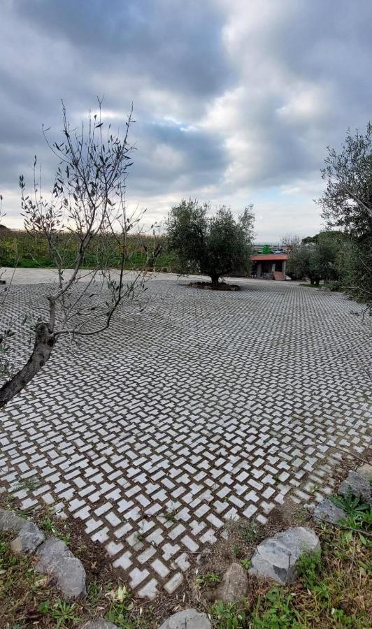 Merumalia Wine Resort Frascati Εξωτερικό φωτογραφία