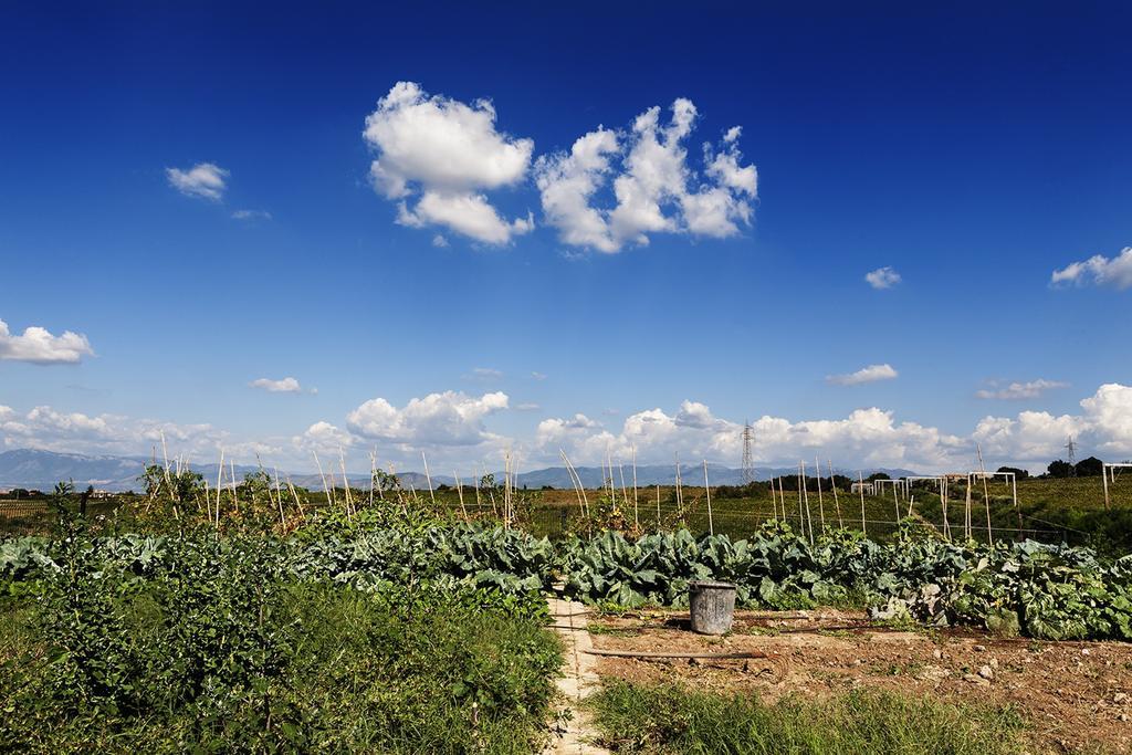 Merumalia Wine Resort Frascati Εξωτερικό φωτογραφία