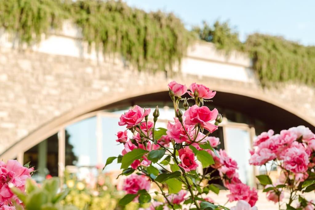 Merumalia Wine Resort Frascati Εξωτερικό φωτογραφία