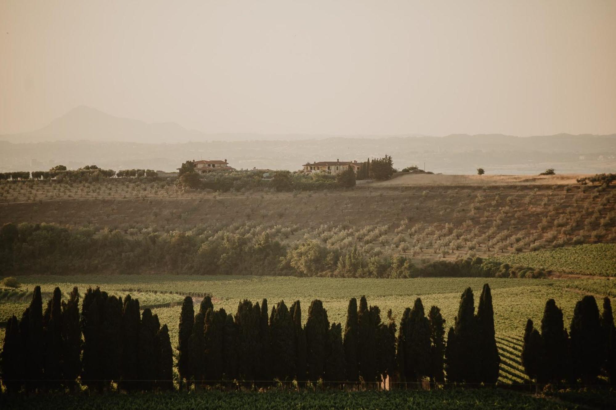 Merumalia Wine Resort Frascati Εξωτερικό φωτογραφία