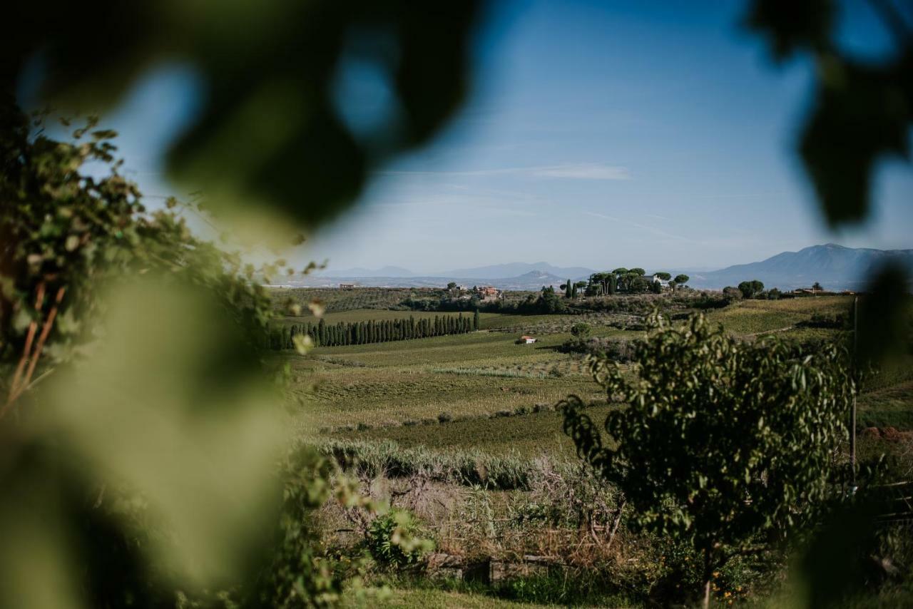 Merumalia Wine Resort Frascati Εξωτερικό φωτογραφία